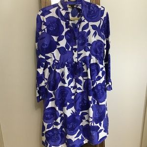 J Crew silk dress